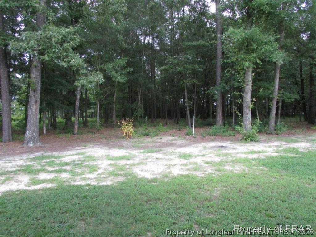 171 Old Vander Road Fayetteville, NC 28312 - Photo 35 of 36 Gallery Image 35