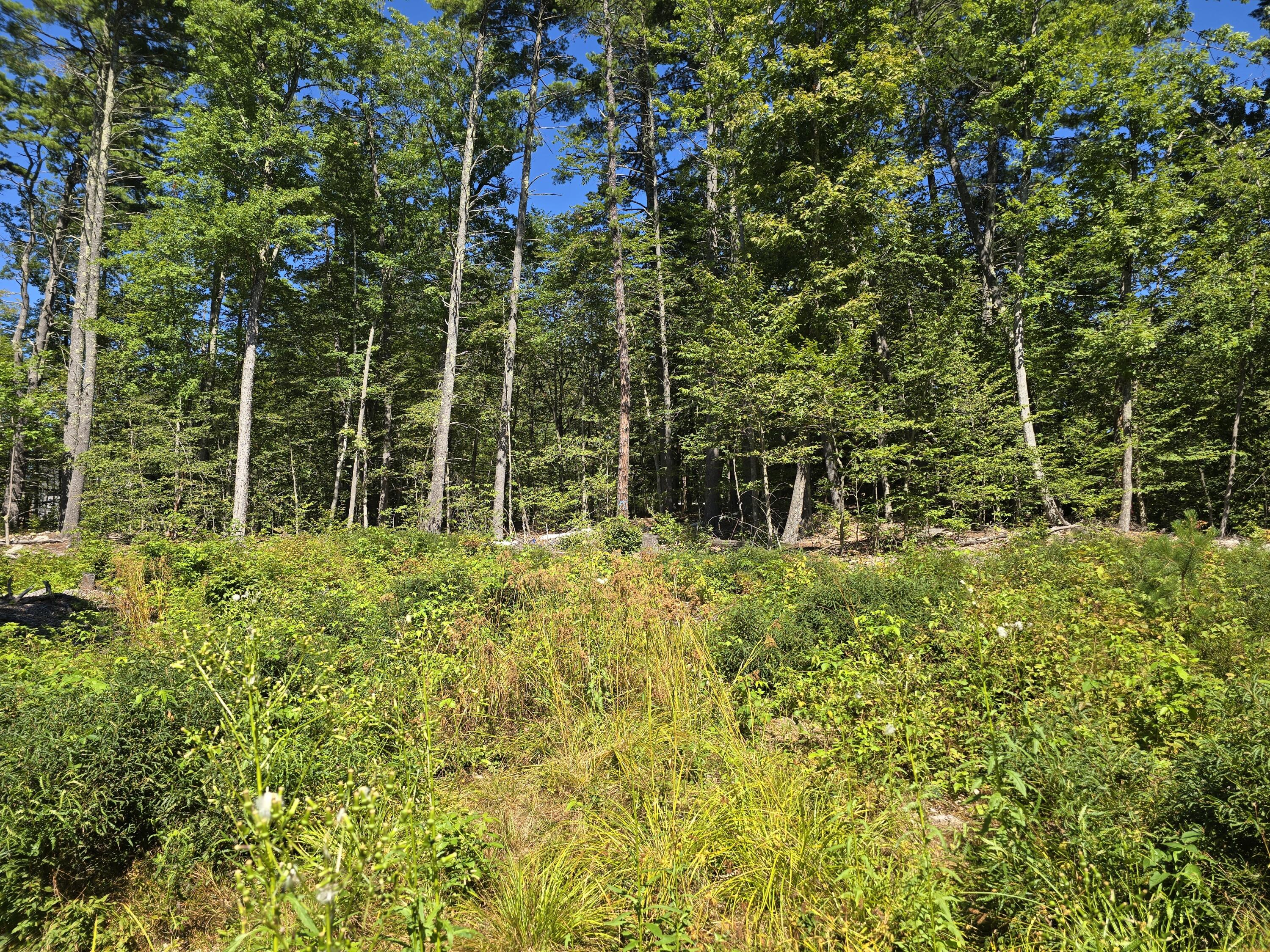 298 Gore Road Naples, ME 04055 - Photo 4 of 30 1000017380