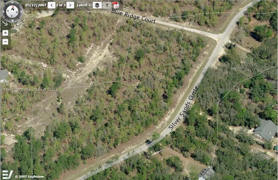 5809 Silver Sands Circle Keystone Heights, FL 32656 - Photo 2 of 7 a view of a forest with a forest