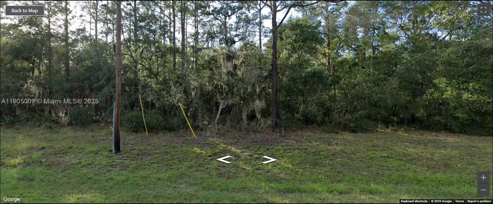 5809 Silver Sands Circle Keystone Heights, FL 32656 - Photo 3 of 7 a view of a forest with trees