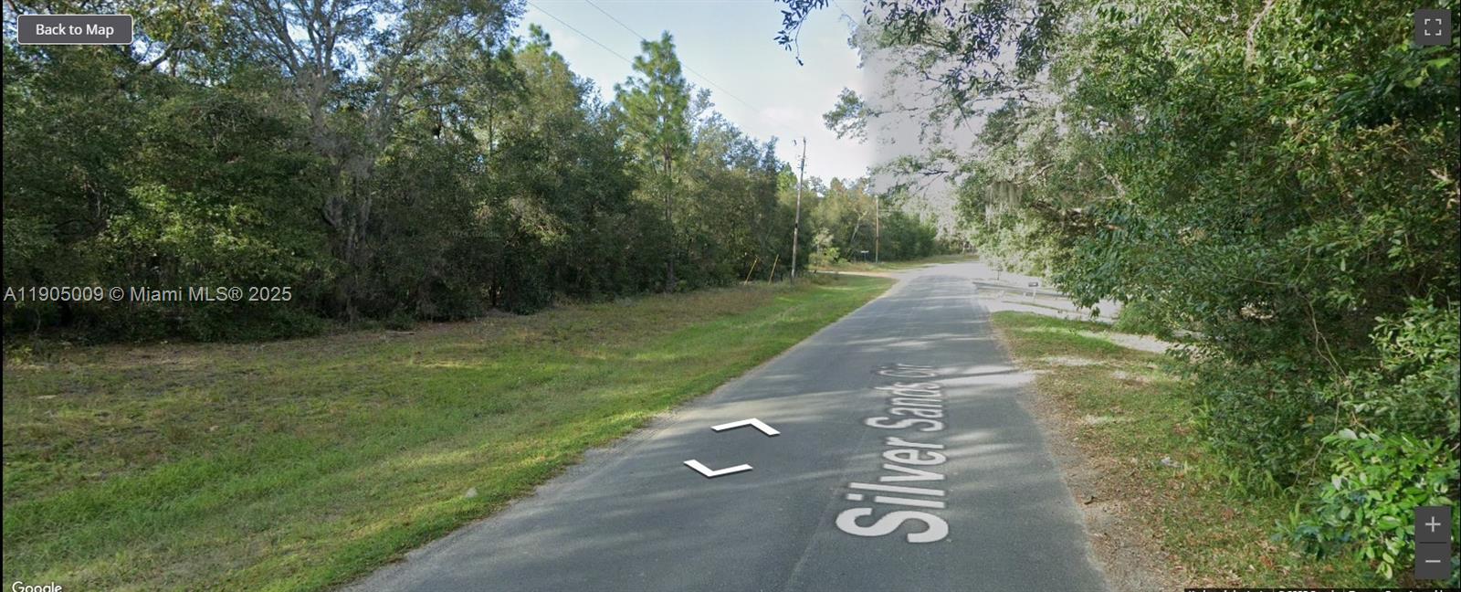 5809 Silver Sands Circle Keystone Heights, FL 32656 - Photo 4 of 7 a view of a street with a trees