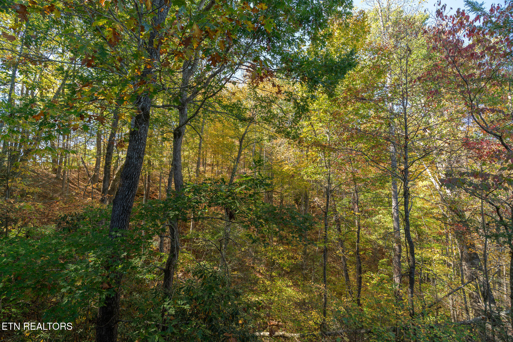 753 Glory Ridge Way Gatlinburg, TN 37738 - Photo 28 of 29 untitled-21