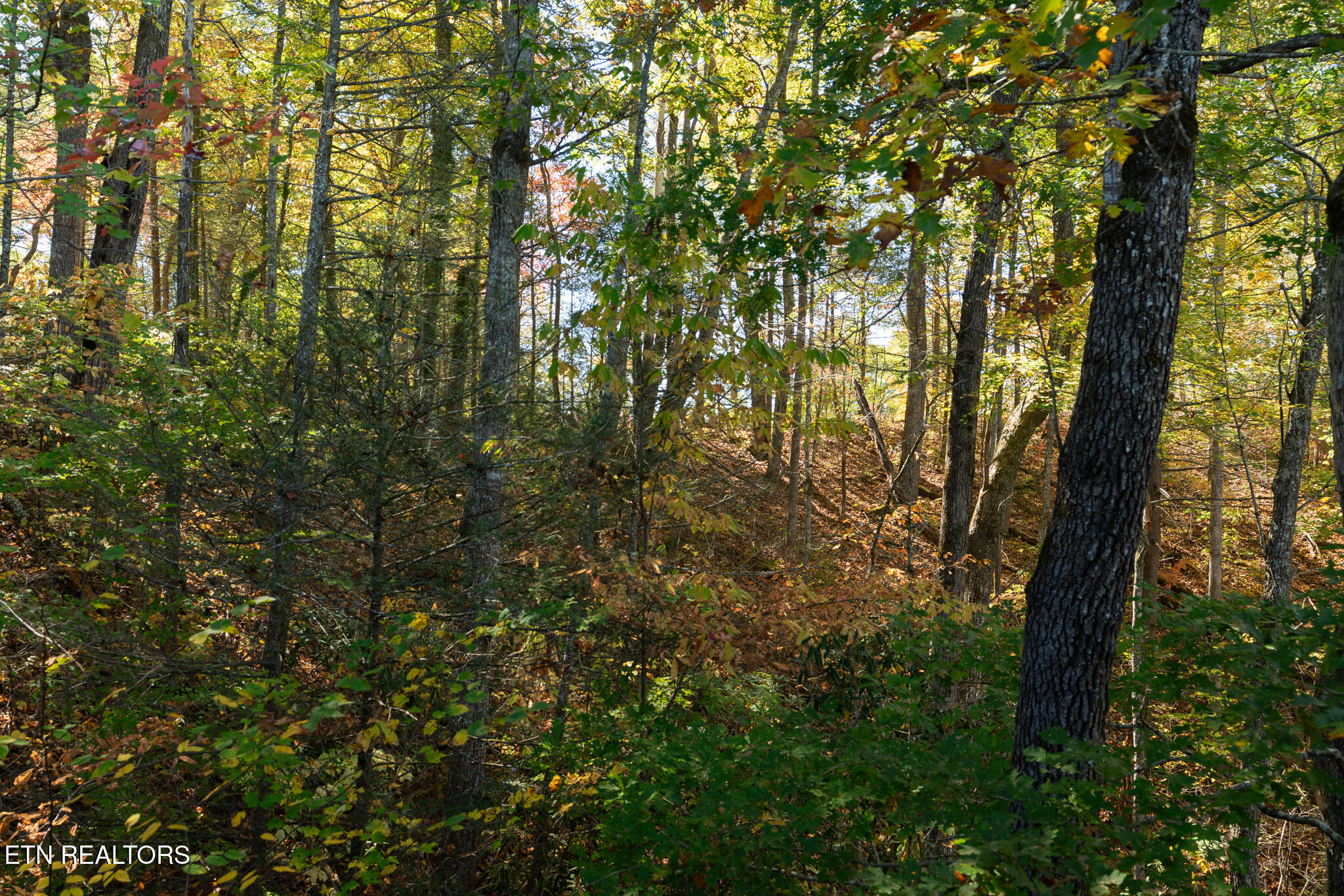 753 Glory Ridge Way Gatlinburg, TN 37738 - Photo 29 of 29 untitled-22