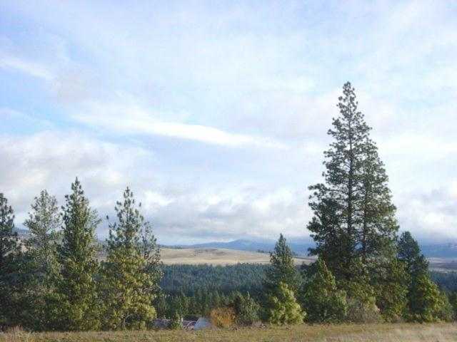 15102 South Stentz Road, Unit LOT #5 Spangle, WA 99031 - Photo 8 of 9 Gallery Image 8