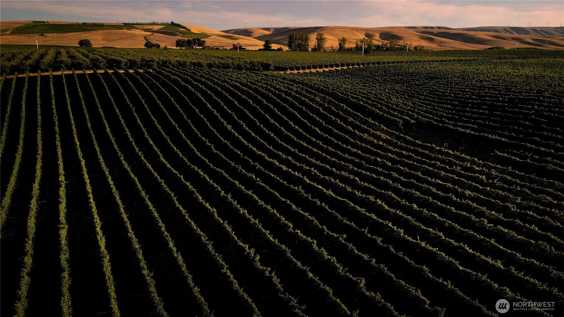 83996 Edwards Road Milton Freewater, OR 97862 - Photo 3 of 11