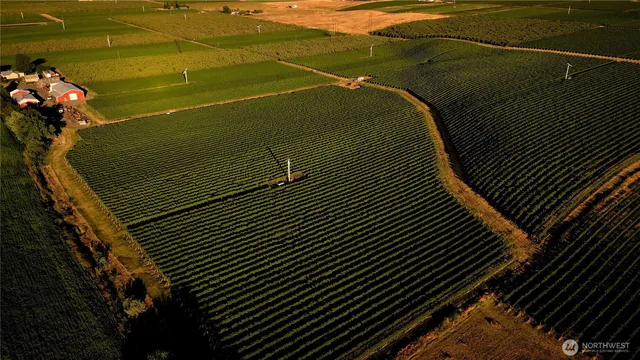 a view of a tennis court