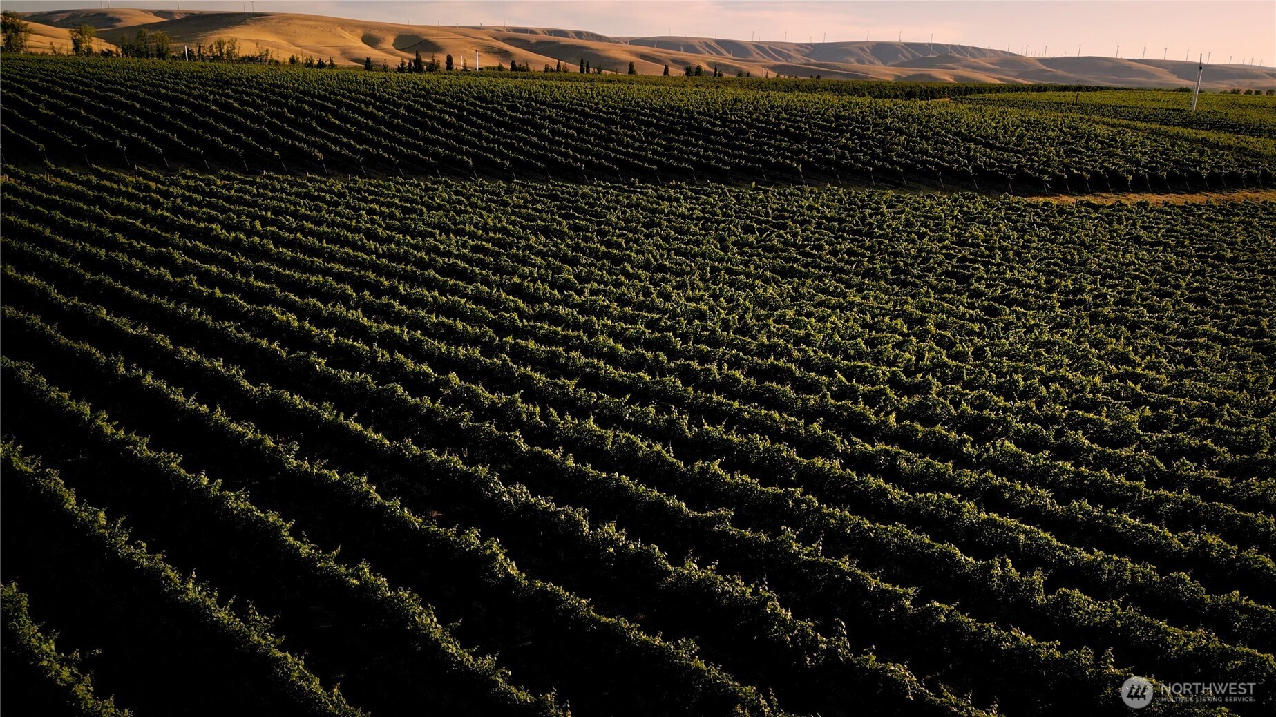83996 Edwards Road Milton Freewater, OR 97862 - Photo 6 of 11 a view of outdoor space