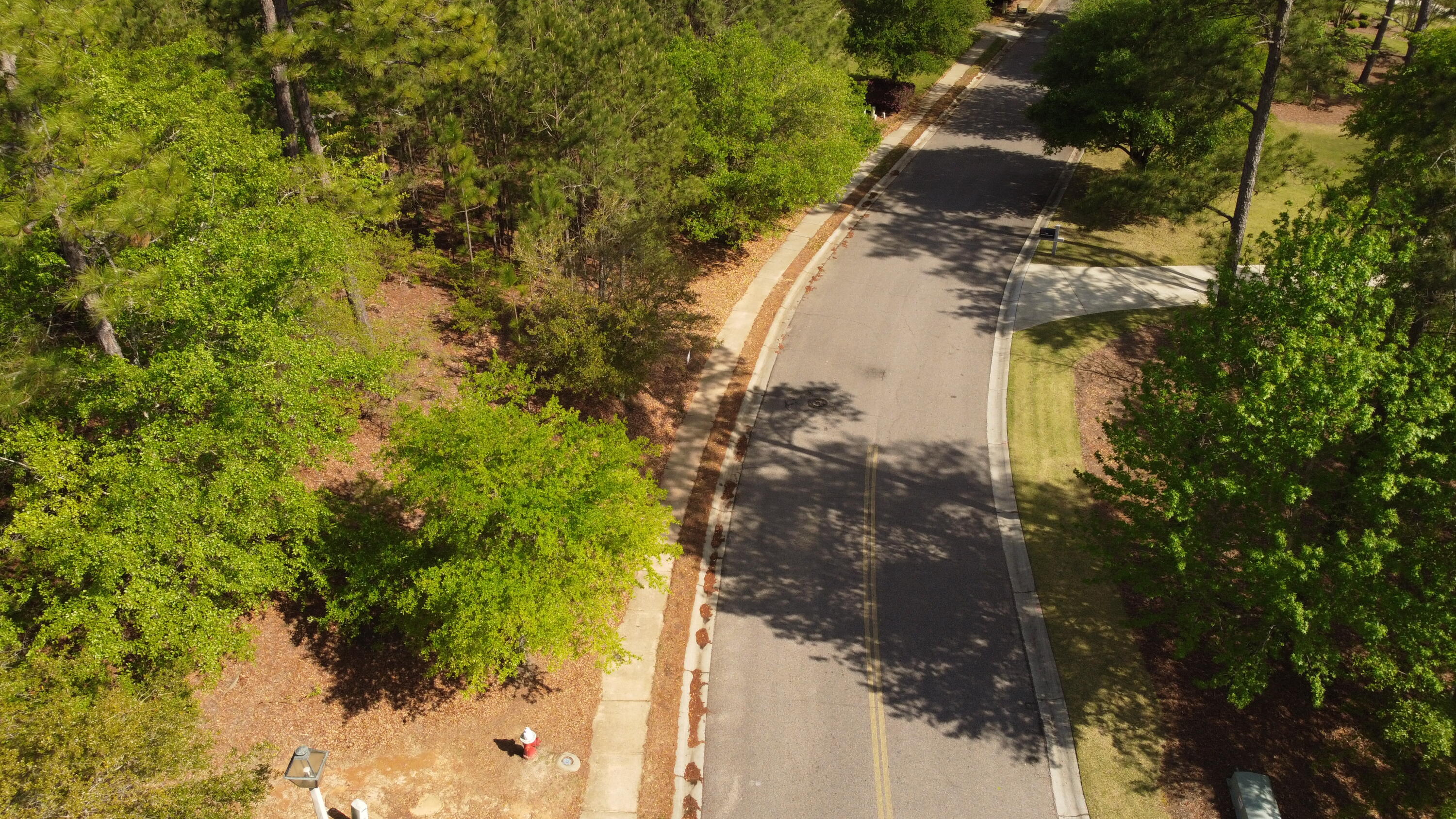 Lot 261 West Pleasant Colony Road Aiken, SC 29801 - Photo 4 of 9 Gallery Image 4