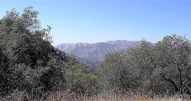 0 Oak Grove Drive Three Rivers, CA 93271 - Photo 1 of 13 Primary Photo