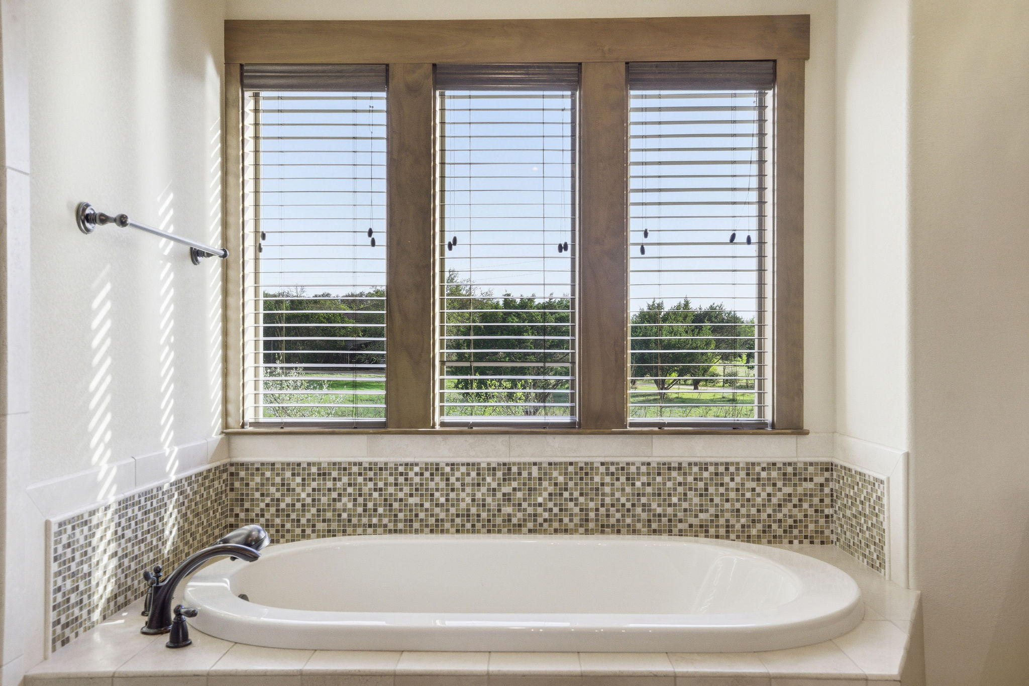 5010 Lookout Ridge Drive Marble Falls, TX 78654 - Photo 36 of 40 Bathroom featuring healthy amount of natural light and a bath