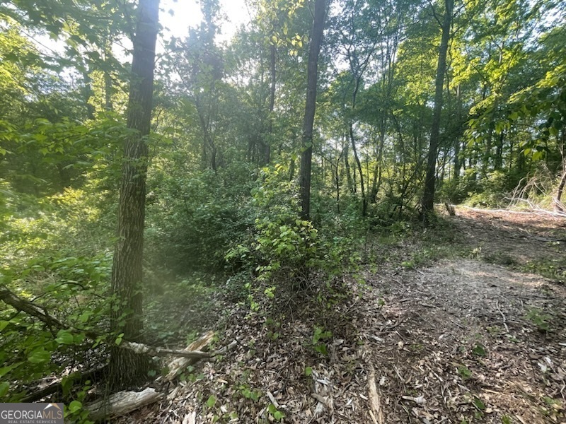 785 A J Irvin Road Talmo, GA 30567 - Photo 2 of 8