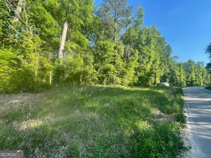 785 A J Irvin Road Talmo, GA 30567 - Photo 3 of 8