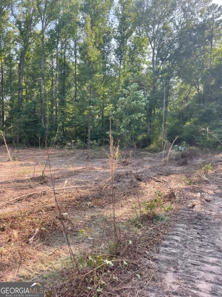 785 A J Irvin Road Talmo, GA 30567 - Photo 6 of 8