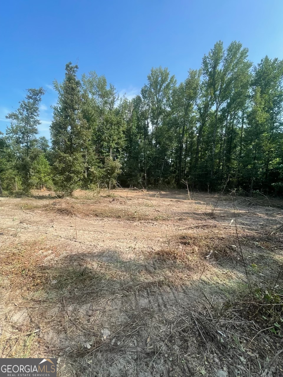 785 A J Irvin Road Talmo, GA 30567 - Photo 7 of 8