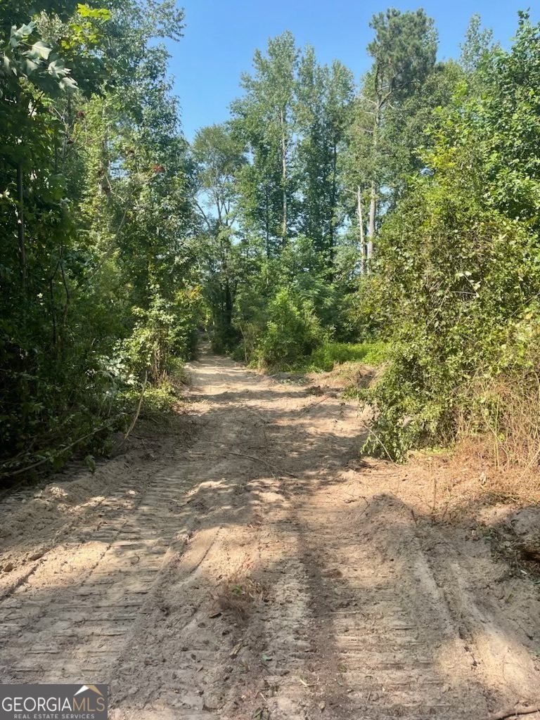 785 A J Irvin Road Talmo, GA 30567 - Photo 8 of 8