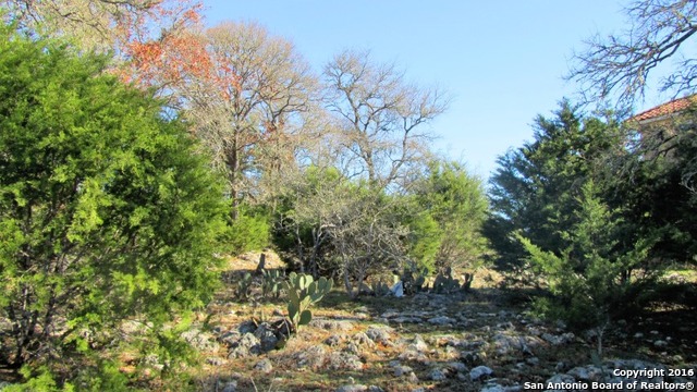 1341 Palmetto Point Spring Branch, TX 78070 - Photo 1 of 1