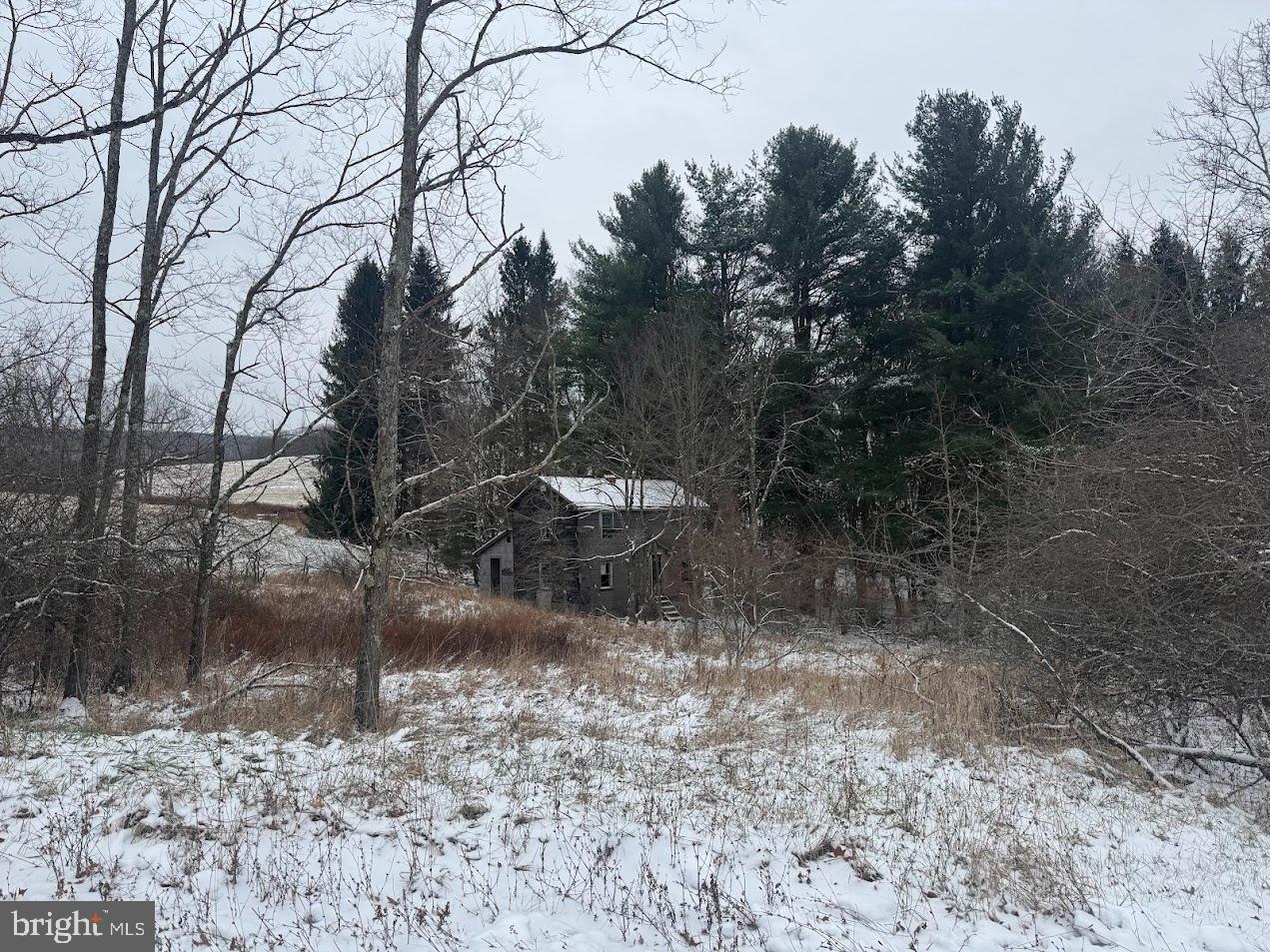 760 Sweitzertown Road Swanton, MD 21561 - Photo 4 of 8 Farmhouse at 760 Sweitzertown Road.