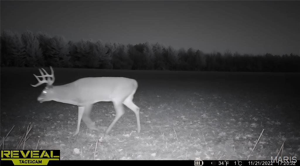 0 East Rileyville Road Dix, IL 62830 - Photo 11 of 22