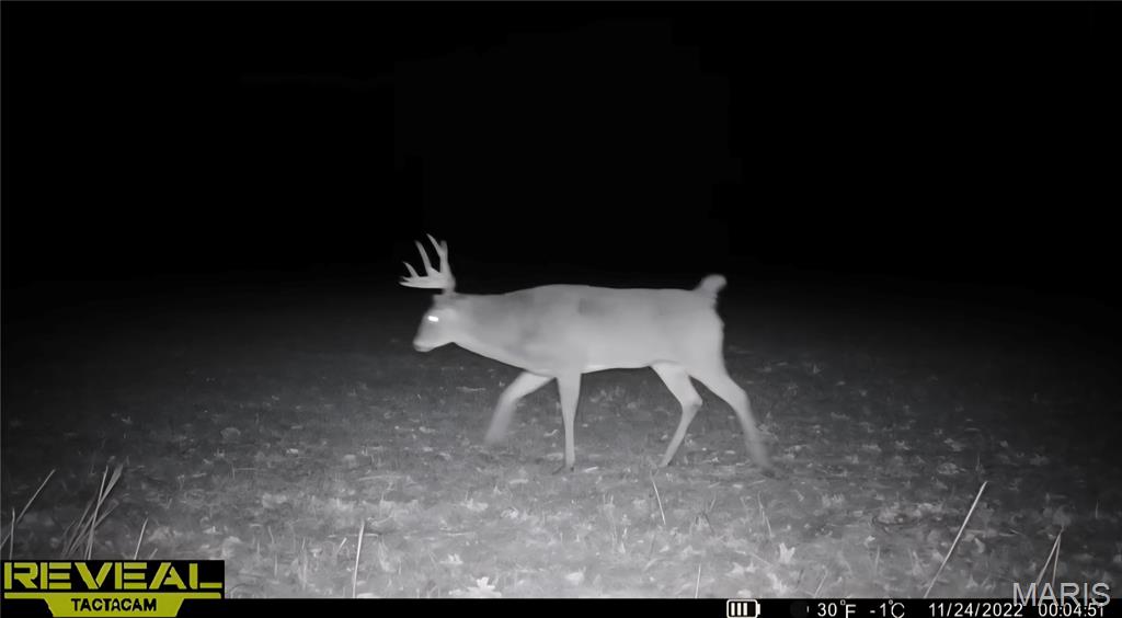 0 East Rileyville Road Dix, IL 62830 - Photo 15 of 22