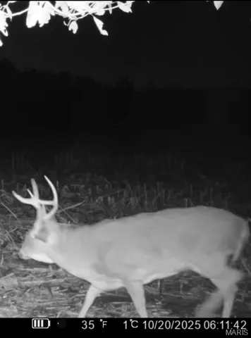 $105,000 | 0 East Rileyville Road, Dix, IL 62830