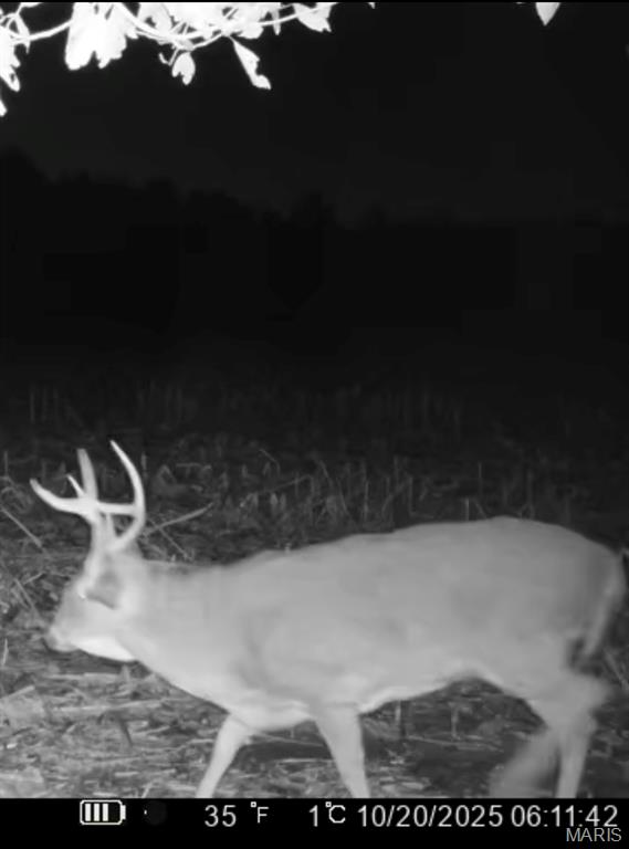 0 East Rileyville Road Dix, IL 62830 - Photo 16 of 22