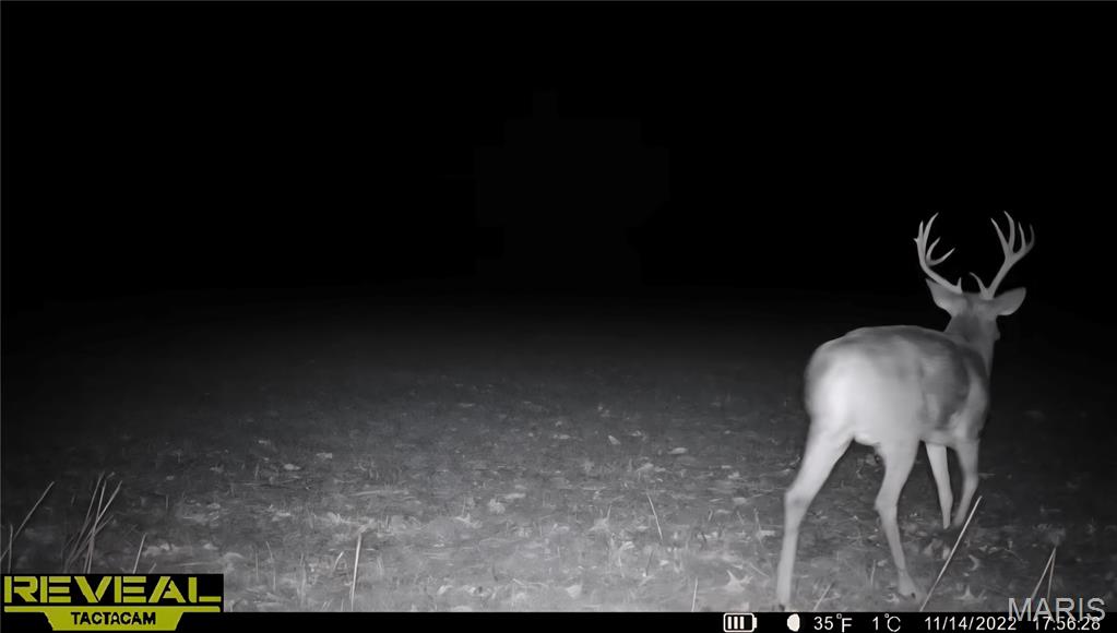 0 East Rileyville Road Dix, IL 62830 - Photo 17 of 22