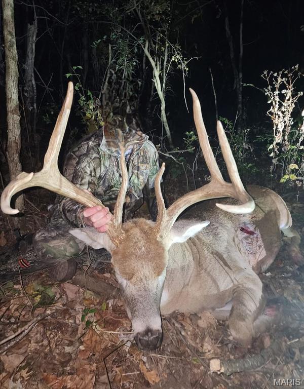 0 East Rileyville Road Dix, IL 62830 - Photo 18 of 22