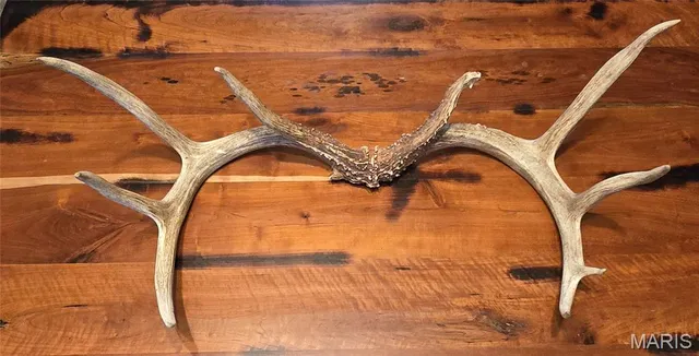 $105,000 | 0 East Rileyville Road, Dix, IL 62830