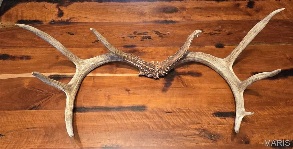 0 East Rileyville Road Dix, IL 62830 - Photo 19 of 22