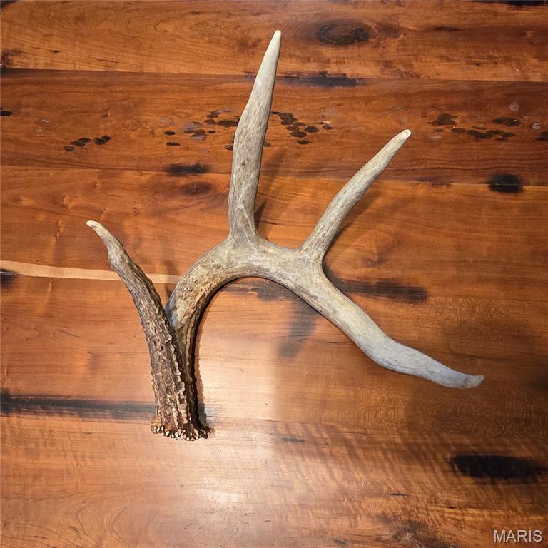 0 East Rileyville Road Dix, IL 62830 - Photo 20 of 22