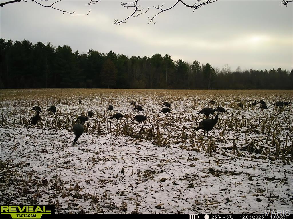 0 East Rileyville Road Dix, IL 62830 - Photo 21 of 22
