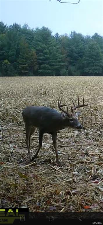 0 East Rileyville Road Dix, IL 62830 - Photo 22 of 22