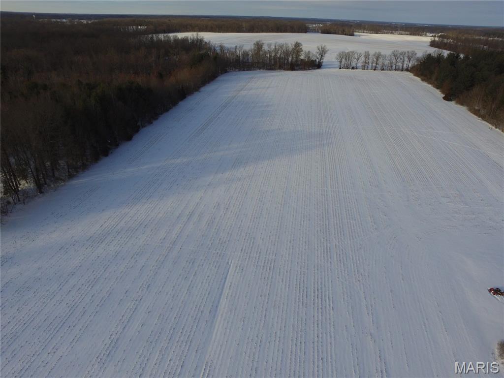 0 East Rileyville Road Dix, IL 62830 - Photo 3 of 22