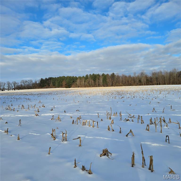 0 East Rileyville Road Dix, IL 62830 - Photo 7 of 22