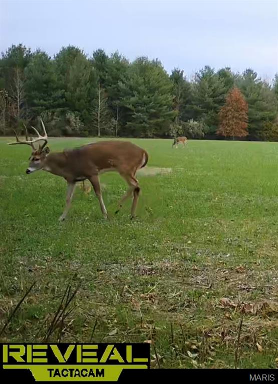 0 East Rileyville Road Dix, IL 62830 - Photo 9 of 22