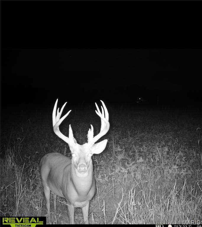 0 East Rileyville Road Dix, IL 62830 - Photo 10 of 22