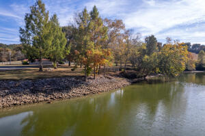 Lot 41 Espalier Drive Decatur, TN 37322 - Photo 29 of 32 29