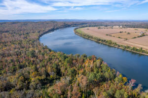 Lot 41 Espalier Drive Decatur, TN 37322 - Photo 10 of 32 10