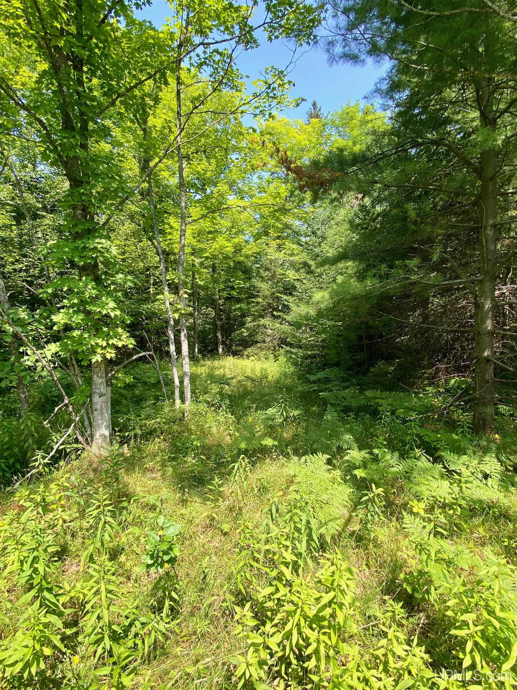 Parcel A Boundary Road Houghton, MI 49931 - Photo 11 of 26 Gallery Image 11