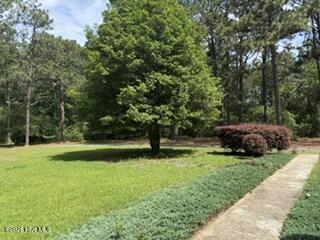 331 Rooty Branch Road Vass, NC 28394 - Photo 42 of 42