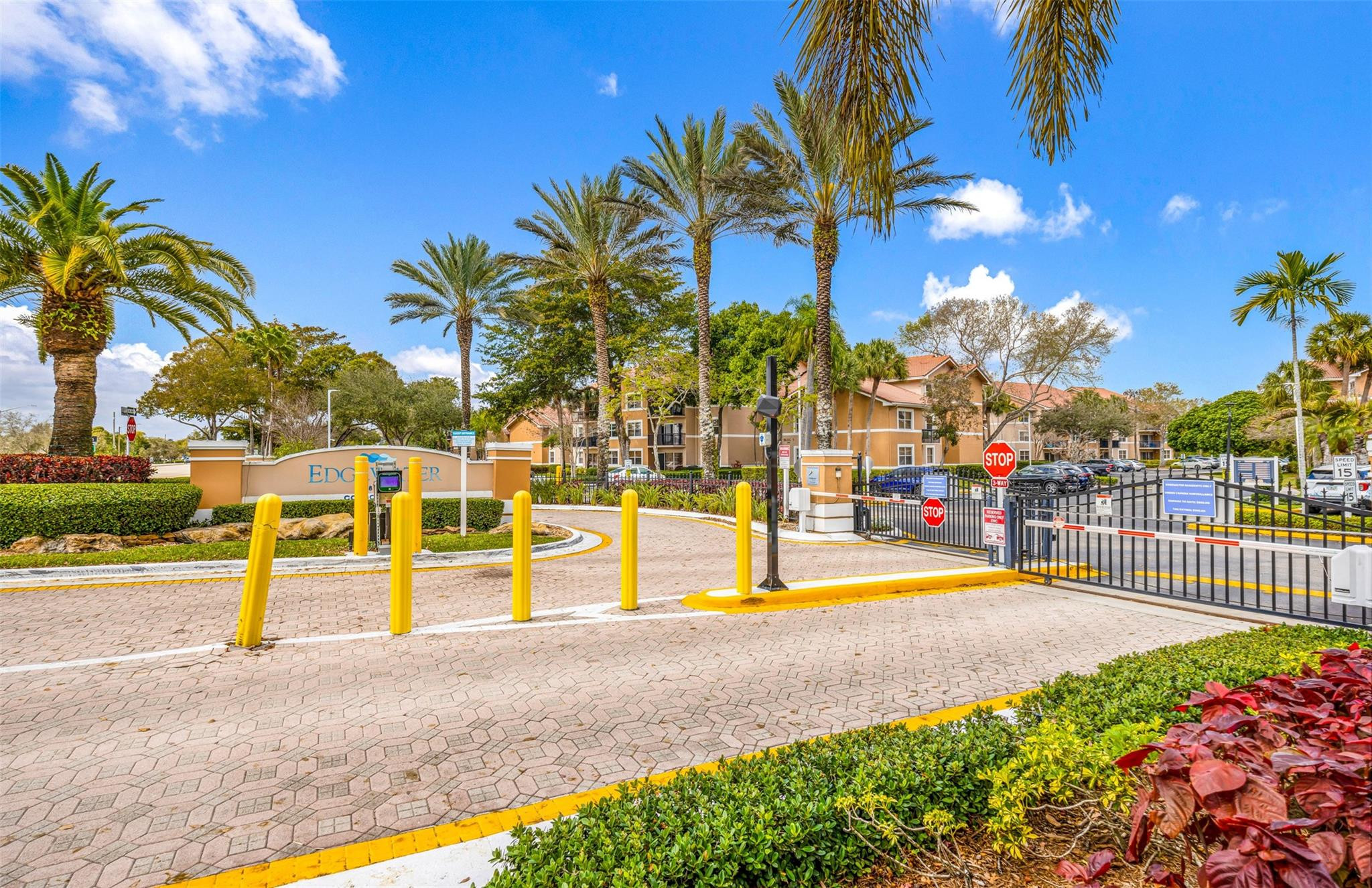 8977 Wiles Road, Unit 102 Coral Springs, FL 33067 - Photo 37 of 37 a view of a swimming pool with a lawn chairs under palm tree