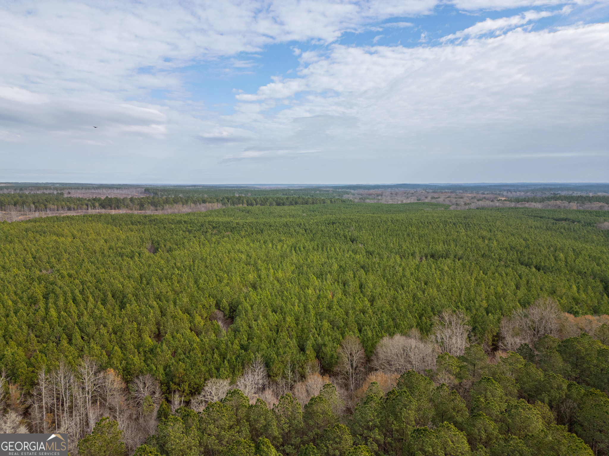 2 Smith Rocky Branch Road Carlton, GA 30627 - Photo 2 of 10