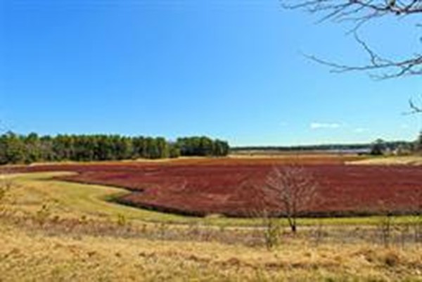 4 Pine Ridge Way, Unit E Carver, MA 02330 - Photo 5 of 13 Gallery Image 5