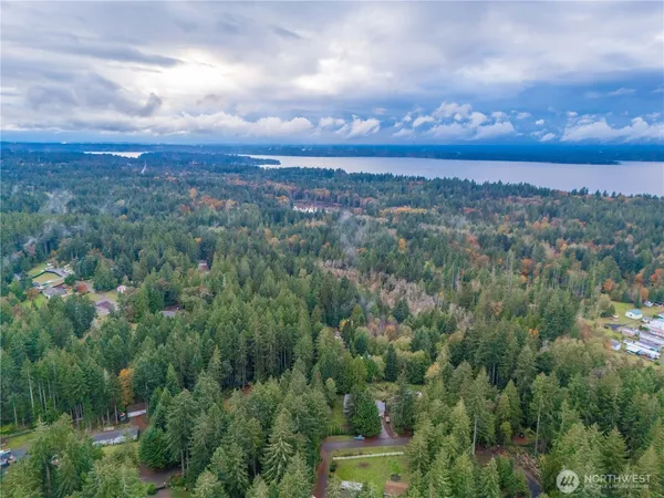 a view of a city with lush green forest