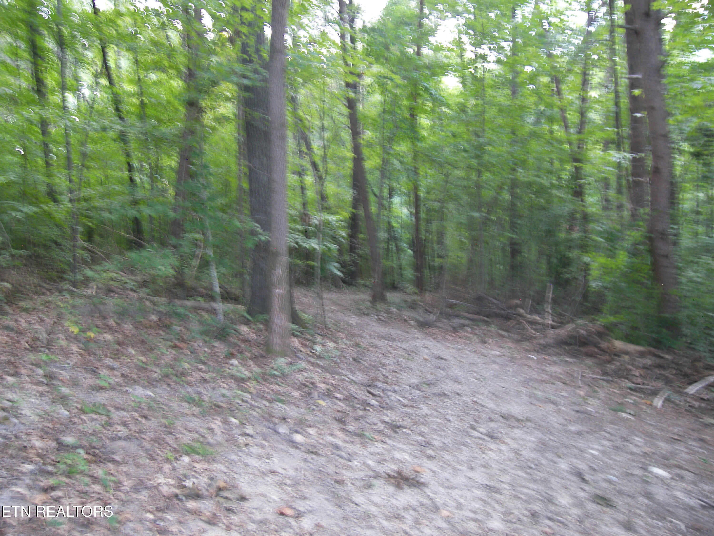 Wells Road Powell, TN 37849 - Photo 11 of 12 2025-01-01 13.56.14