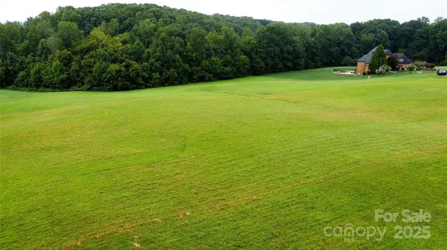 a view of a field with a trees in the background
