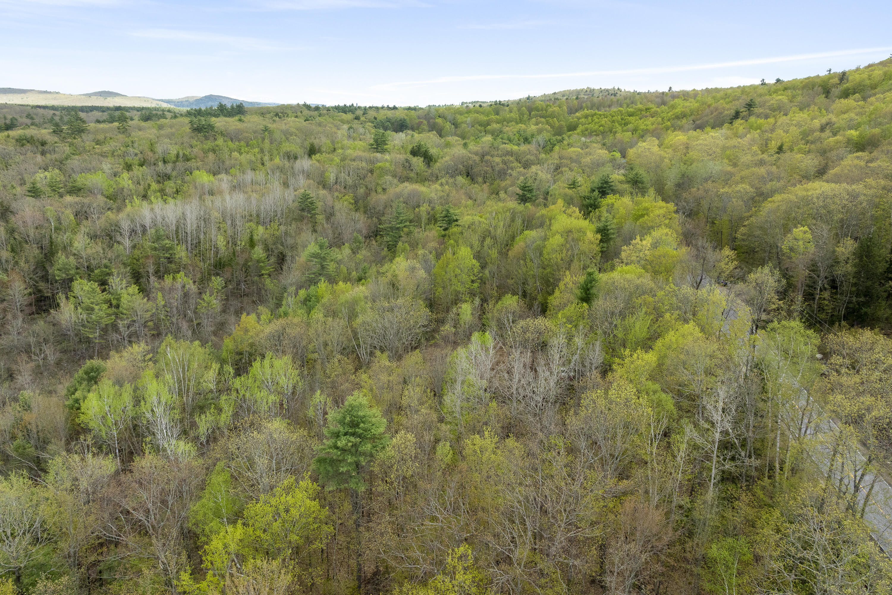 220 Bond Spring Road Newfield, ME 04095 - Photo 16 of 19 13-Lot 0 Bond Spring Rd, West Newfield,