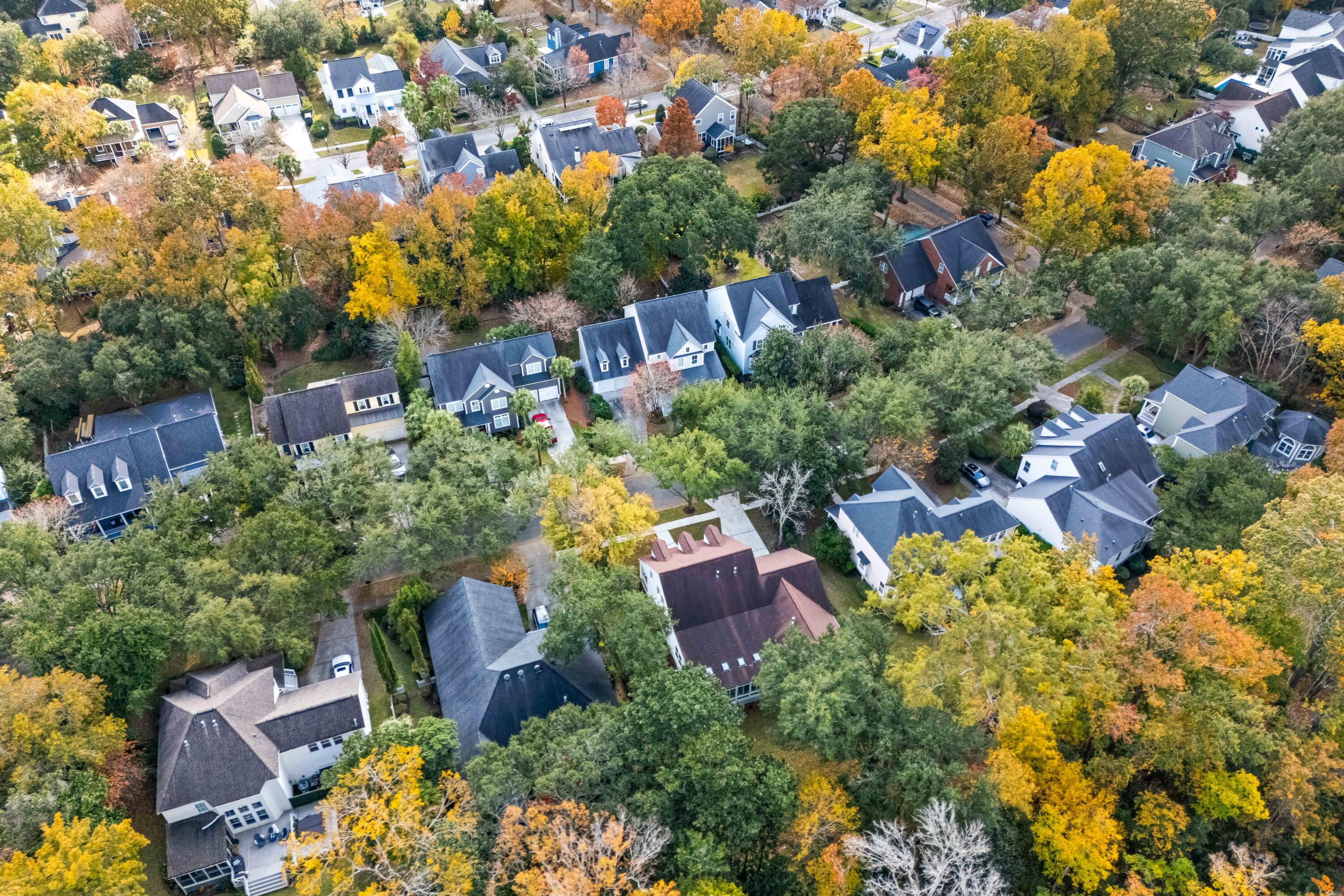 118 Scott Street Daniel Island, SC 29492 - Photo 53 of 57 118-Scott-2