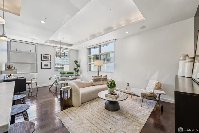 a living room with furniture a rug potted plant and windows