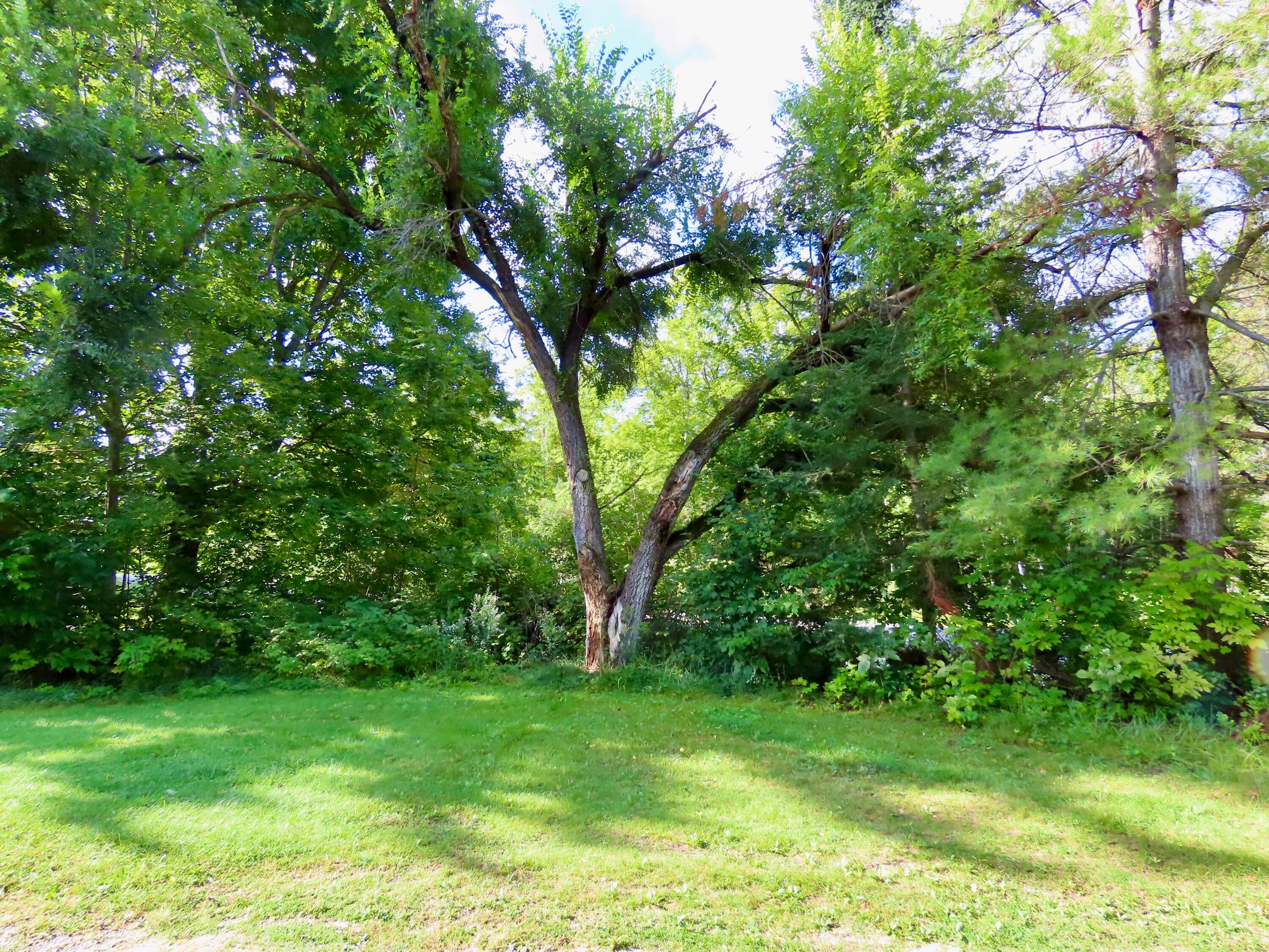 17620 Dobbyn Road Atlanta, MI 49709 - Photo 21 of 48 front yard